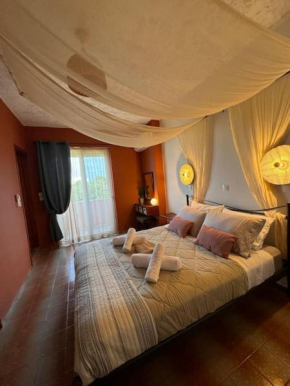 Cozy studio apartment 2